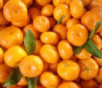 亞克力雙層貼片米奇無別針DIY手機殼材料 創(chuàng)意與實用并存的DIY時尚潮流