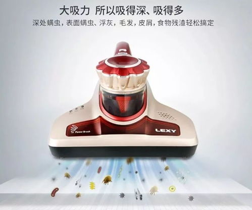 精品家電與汽車配件 品質(zhì)生活的雙重驅(qū)動